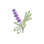 nanamiku logo